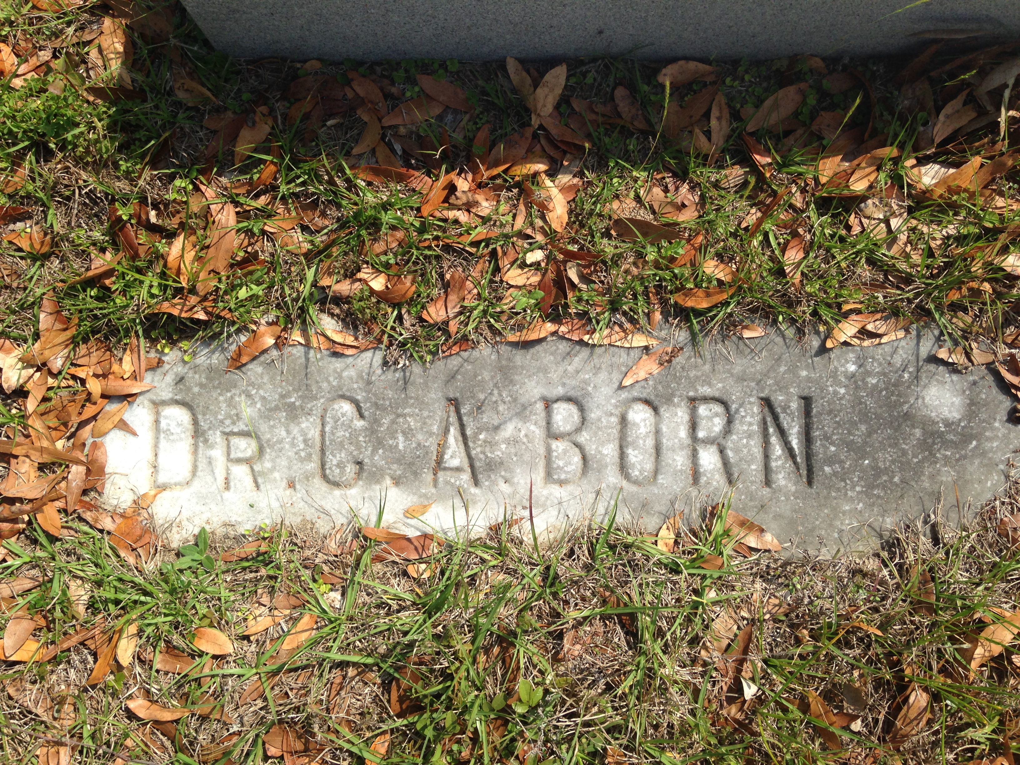 Charles A.  MD. Born